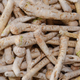 many horseradish roots being harvested